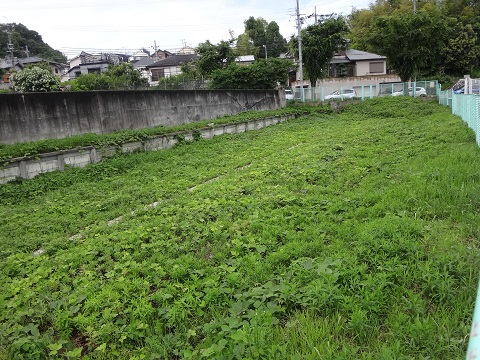 DSC09211.JPG