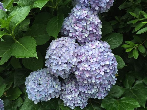 rblog-20150701160119-00.jpg