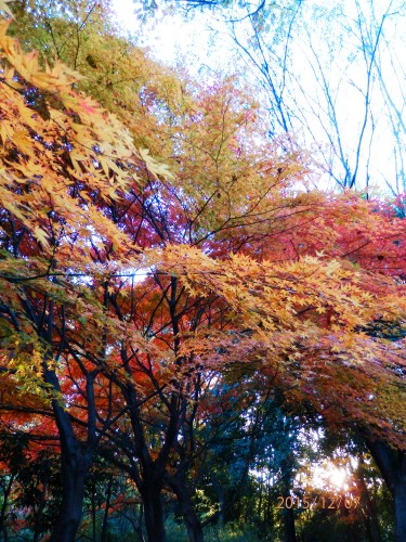 PC070897b20151207.jpg