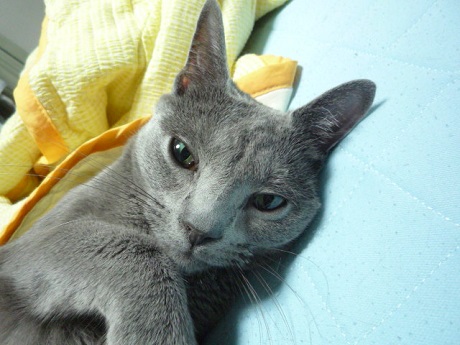 P1230900.JPG