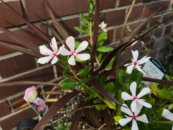 rblog-20170828173644-02.jpg