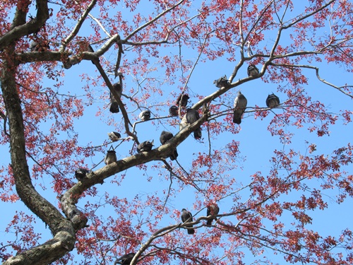 上野公園