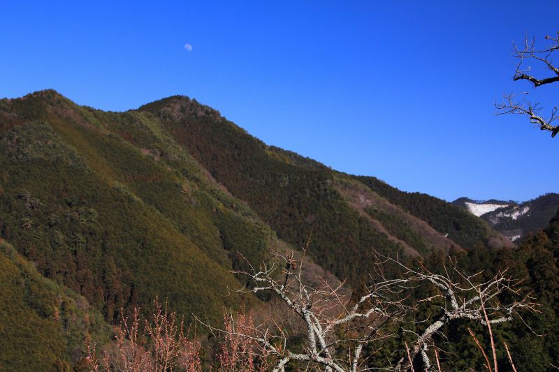 奈良県五條市津越_003.jpg