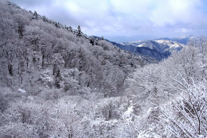金剛山_5-3.jpg
