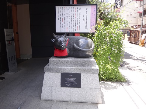 DSC09247.JPG