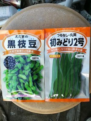 インゲン 黒豆枝豆を播種 青い蛙の菜園日記 楽天ブログ