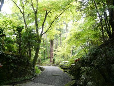 石山寺　緑