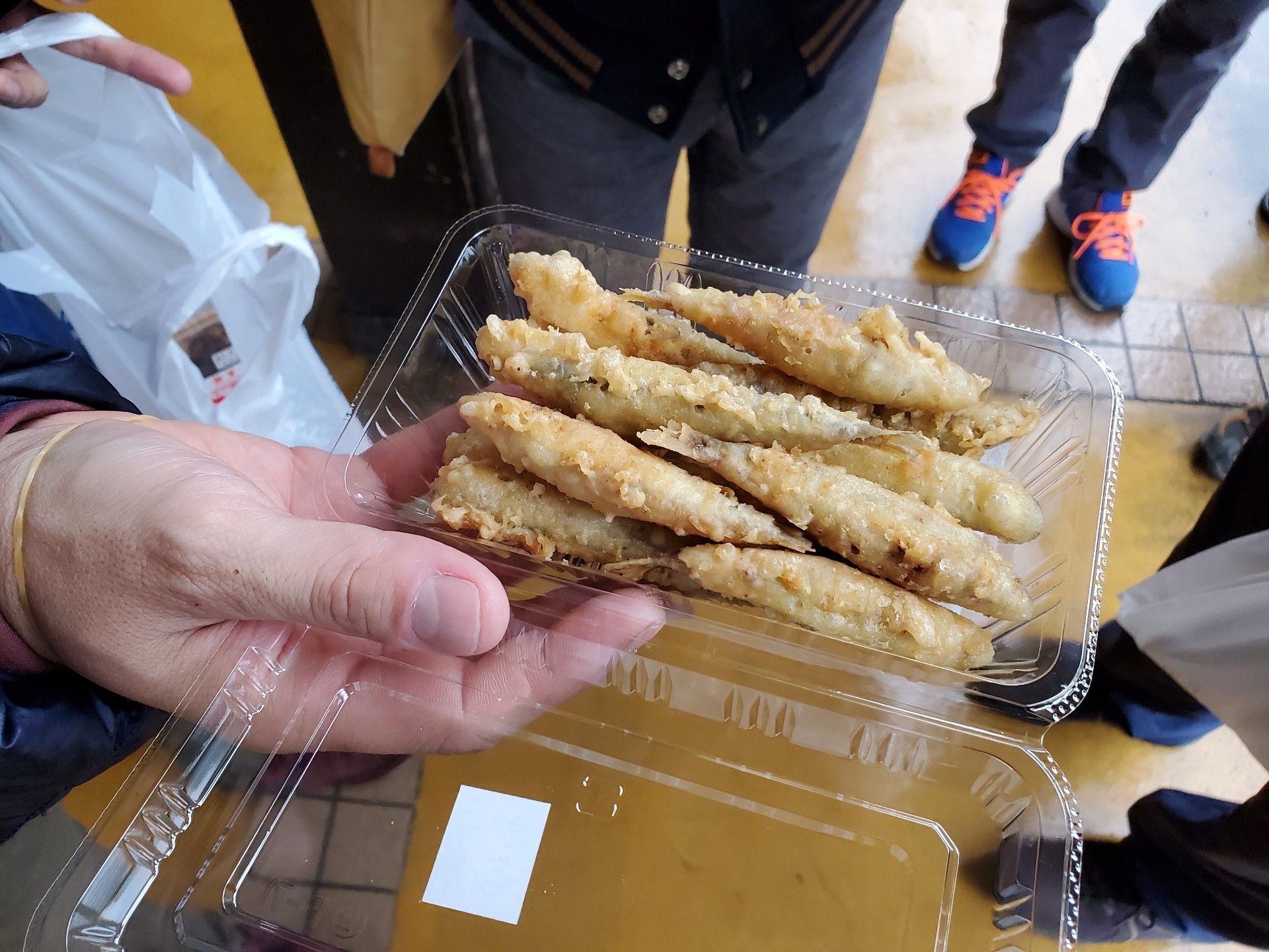 6ページ目の記事一覧 魚と日常ブログ 楽天ブログ