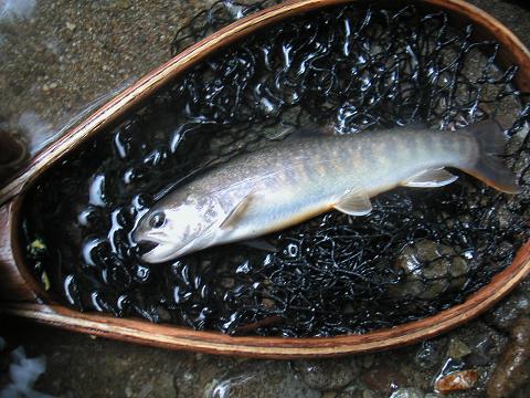 2012.08.12 011.jpg