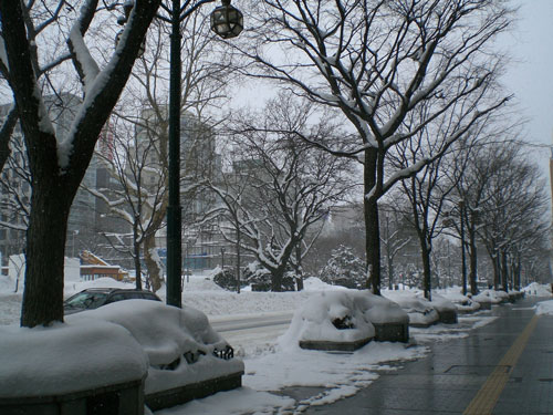 20大通公園.jpg