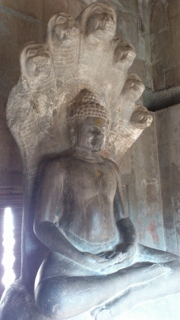 DSC_1207 (360x640).jpg