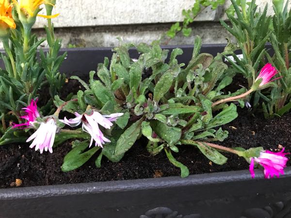 rblog-20180328191417-05.jpg