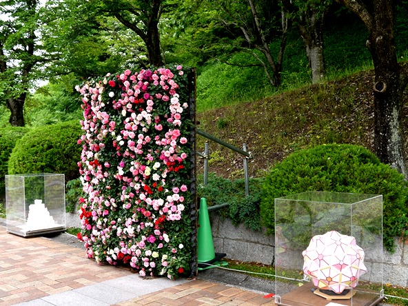 P1060929.jpg
