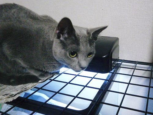 2013年08月22日_P1150820.jpg