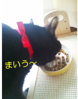 20120905_5.jpg
