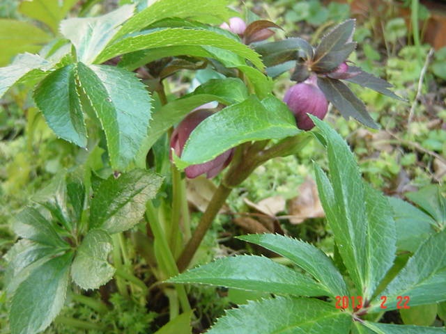 DSC00839.JPG