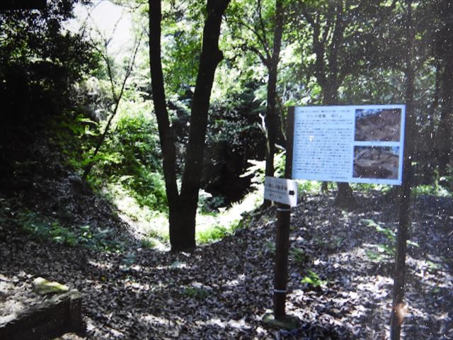 愛知県の続日本100名城小牧山城ー5、主郭に建つ小牧山歴史館 | おじん０５２３のヒロ散歩 - 楽天ブログ