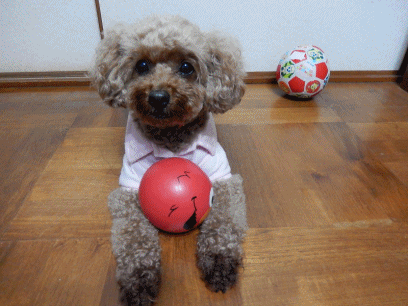 こころ7