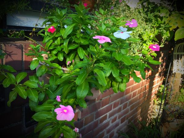 rblog-20160825165128-06.jpg