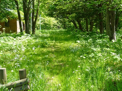 屯田兵の土地の大きさ.jpg
