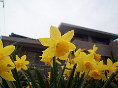 conv0585.JPG