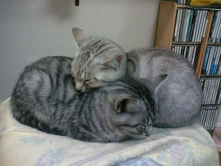 img056340cfr05i97.jpg
