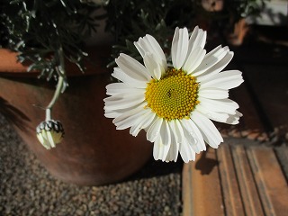 IMG_9219ss.jpg