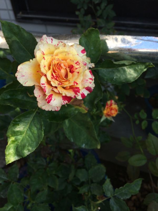 rblog-20140625072926-01.jpg