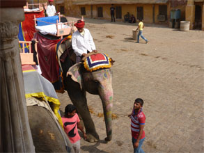 インド596.jpg