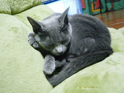 2014年10月31日_P1200811.jpg