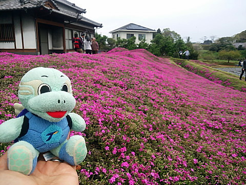 IMG_20160409_140136.jpg