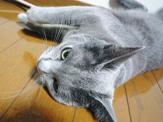 2014年06月02日_P1180655 - コピー.jpg