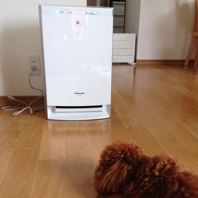 rblog-20130530164252-01.jpg