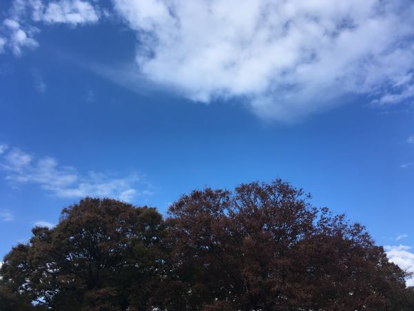 rblog-20181103225306-01.jpg