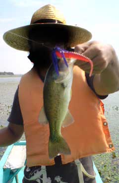 080912_1041~01.JPG