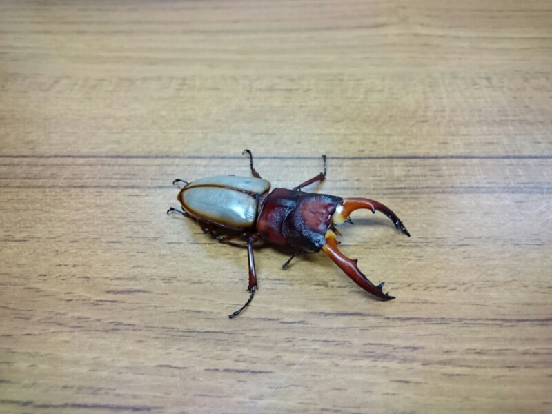 20161008_124030.jpg