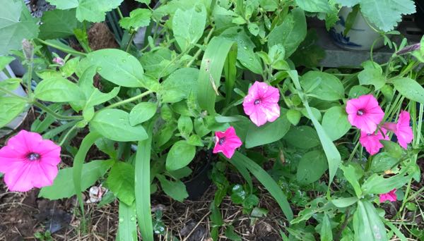 rblog-20180624180303-02.jpg