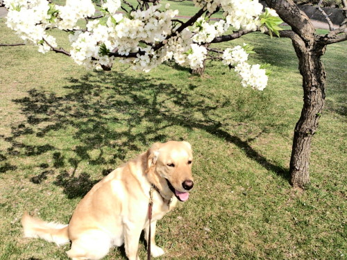 公園1.jpg