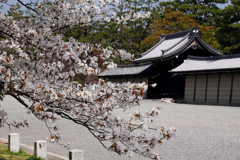 京都御所_003.jpg