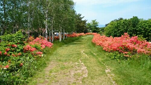 rblog-20160604114042-04.jpg