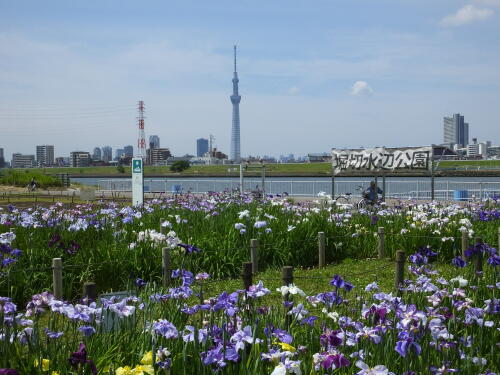 堀切水辺公園にて