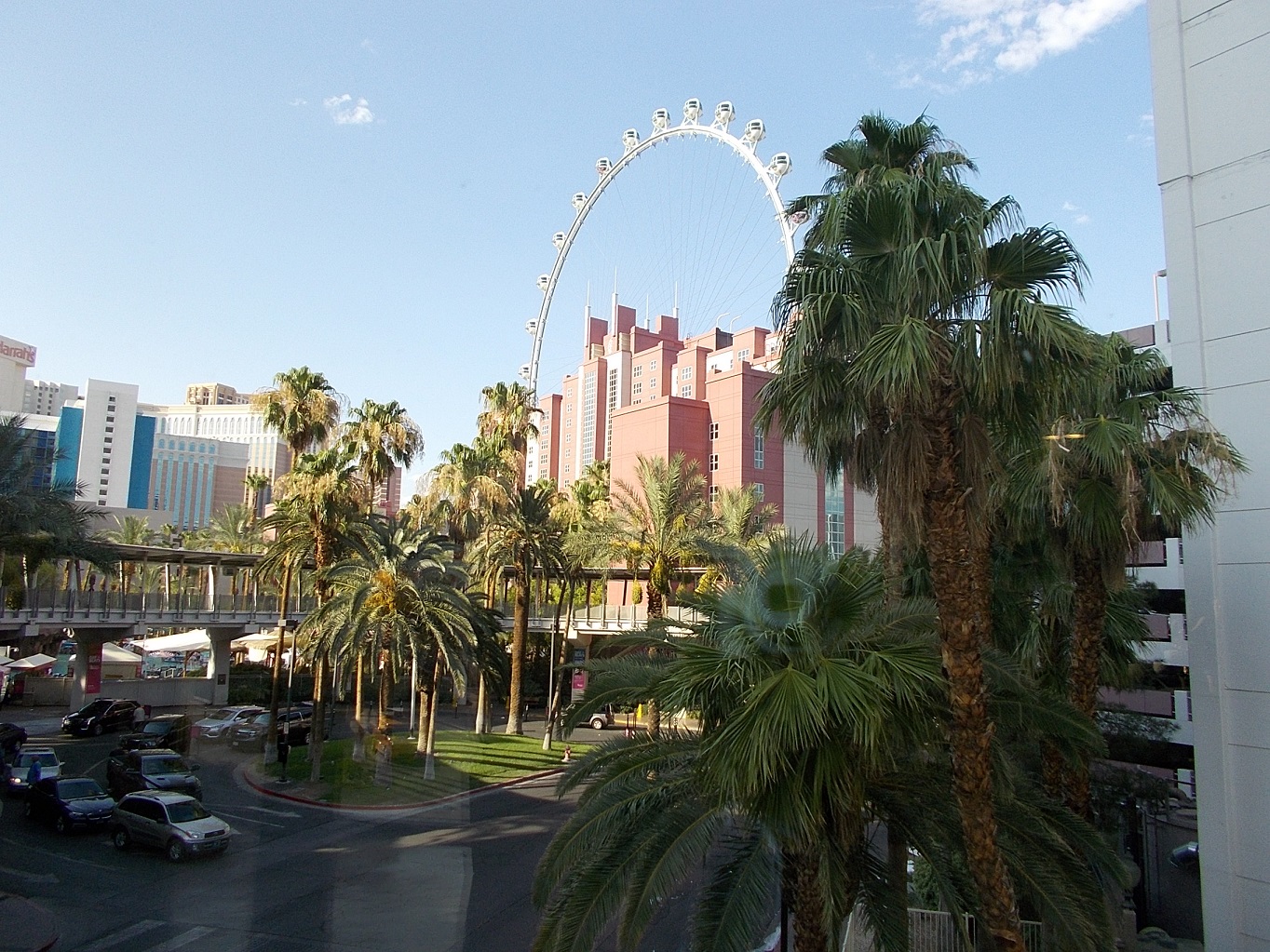 DSCN0981.JPG