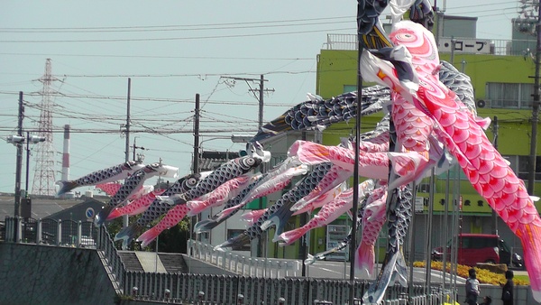 半田運河　鯉のぼり　MIM（MIZKAN MUSEUM：ミツカンミュージアム）