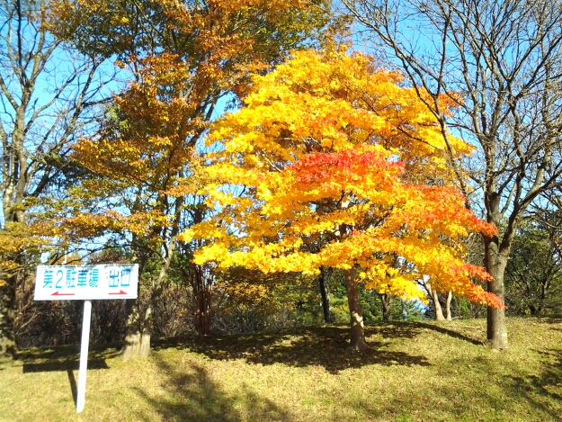 20161107_125459.jpg