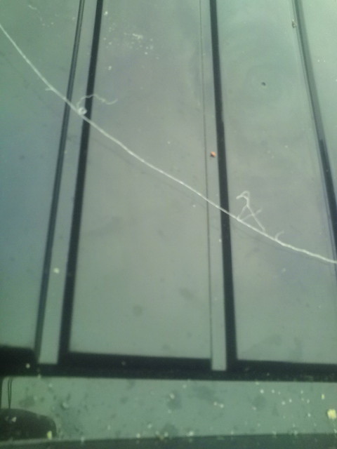 20120225134025.jpg