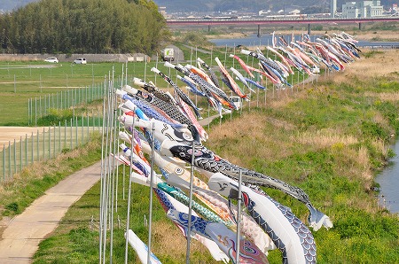 s-DSC_0323.jpg