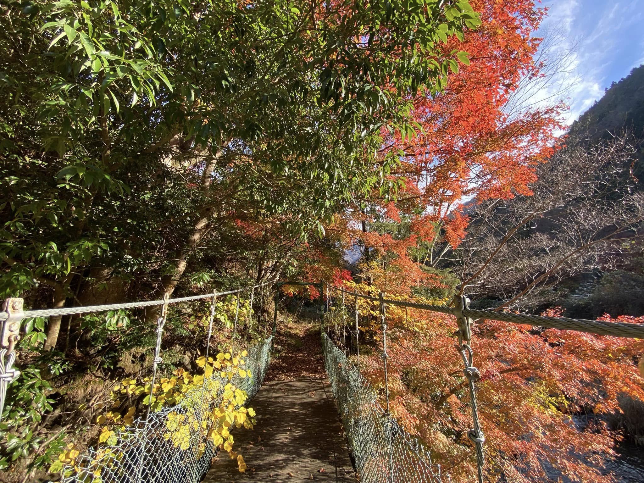 醍醐山と下部（しもべ）温泉