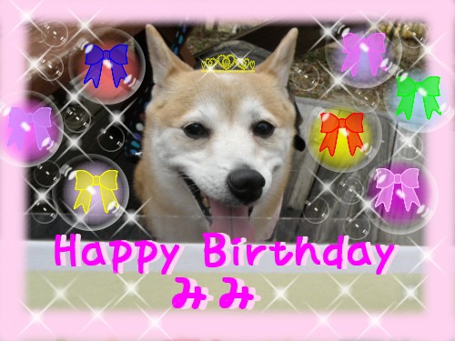 BD みみ.JPG