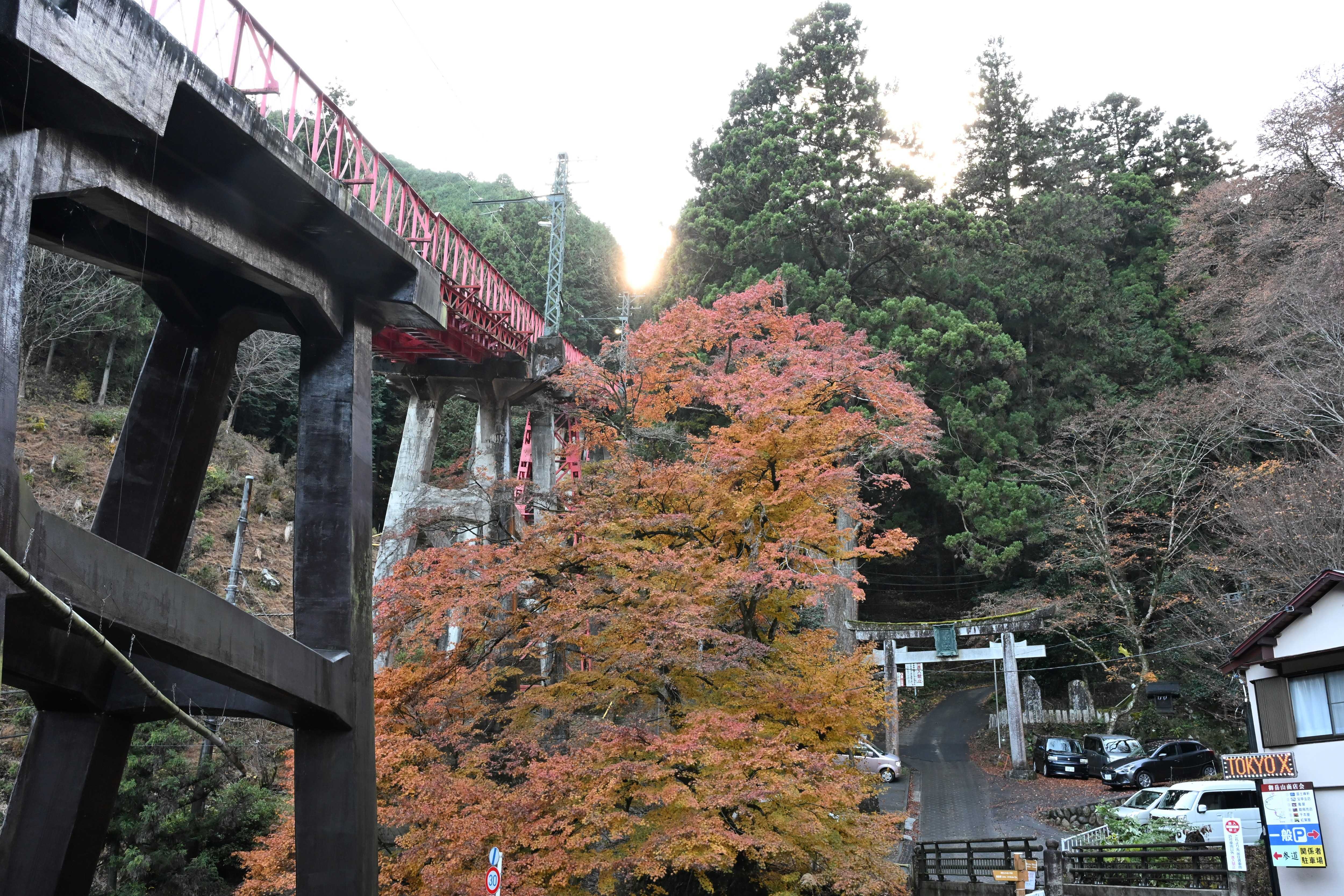 御嶽登山鉄道ケーブルカー（滝本駅→御岳山駅）【2025年秋】 | 小市民の日記 - 楽天ブログ