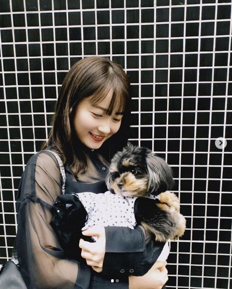 森戸知沙希 モーニング娘 愛犬ぽんちゃんのプロフィール 毎日がなっちとハロプロの日 楽天ブログ